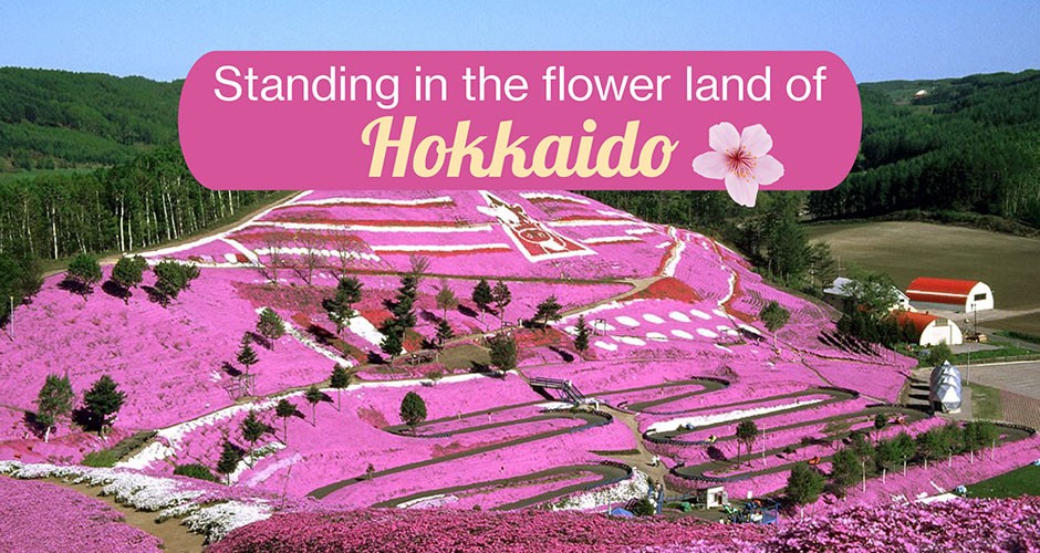 Standing in the flower land of Hokkaido